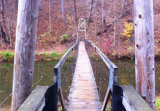 Sheltowee Trace, one suspension bridge